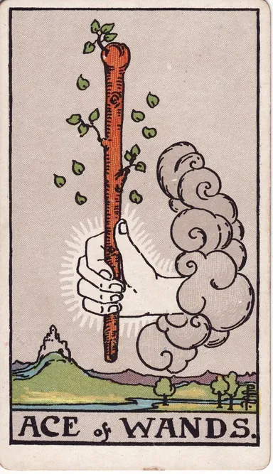 완드 에이스 (Ace of Wands) 타로 카드