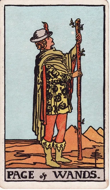 완드 페이지 (Page of Wands) 타로 카드